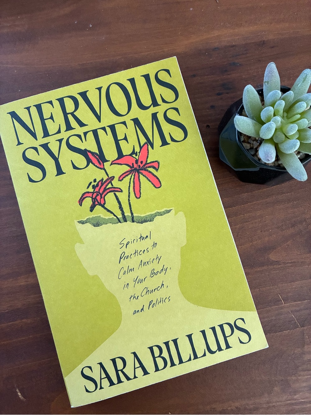 Nervous Systems: Practices to Calm Anxiety in Your Body, the Church, & Politics